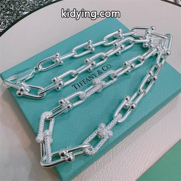 存在感際立つ モダン構造 チェーン ネックレス 注目作 Tiffany&Co ティファニー コピー-1