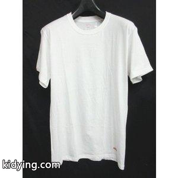 ヘインズ Hanes Supreme シュプリーム Tシャツ 半袖 ボックスロゴ プリント 白 ホワイト メンズ 通販-0