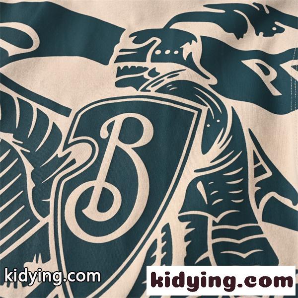 BURBERRY バーバリー スーパーコピー 人気話題 長袖Tシャツ プリント 快適生地 ストリート-6