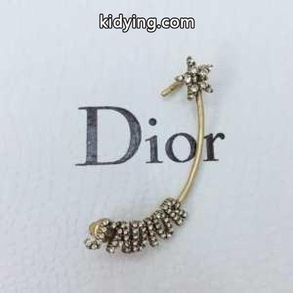 秋冬ナチュラルコーデに大活躍 ディオール 秋冬にきちんと感も漂うはスタイリング DIOR 今回の秋冬に欲しいスタイル ピアス_ディオール DIOR_ブランド コピー 激安(日本最大級)-0