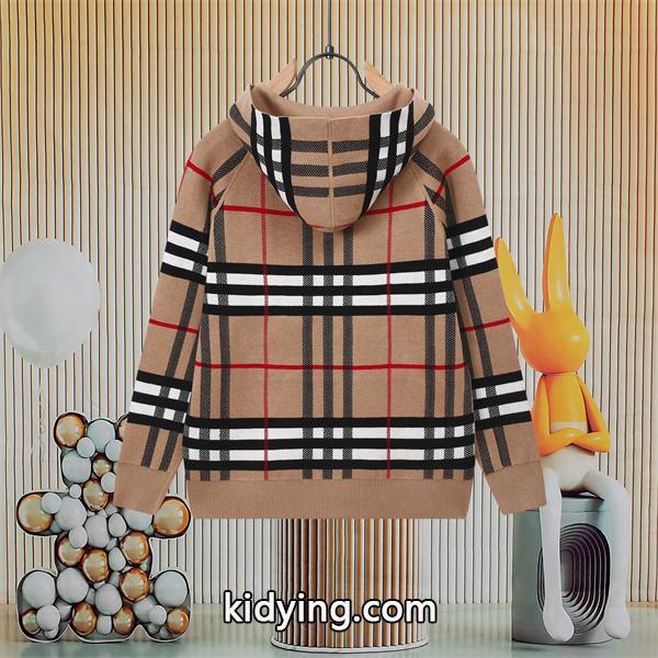 バーバリー コピー BURBERRY 好評続出 2025秋冬特製 クラシックチェック ニットパーカー-1