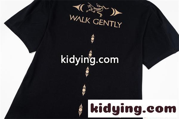 ARCTERYX プリント アークテリクス コピー Tシャツ メンズ 個性グラフィック ストリート 半袖-5