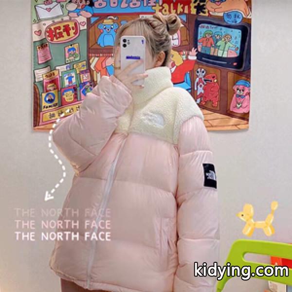 一目惚れした防寒着ご紹介The North Face偽物ダウンジャケット ノースフェイス通販 パネルデザイン男女兼用-0