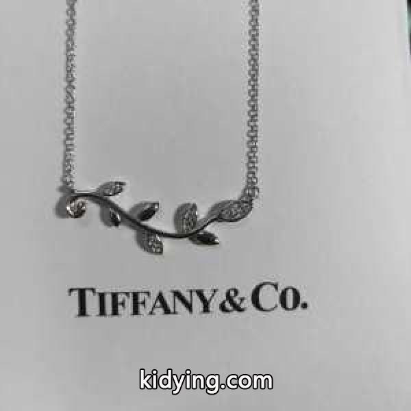2019年SSトレンド新品登場 ティファニー Tiffany&Co ネックレス 今やセレブ御用達で大人気の_ティファニー Tiffany & Co_ブランド コピー 激安(日本最大級)-0
