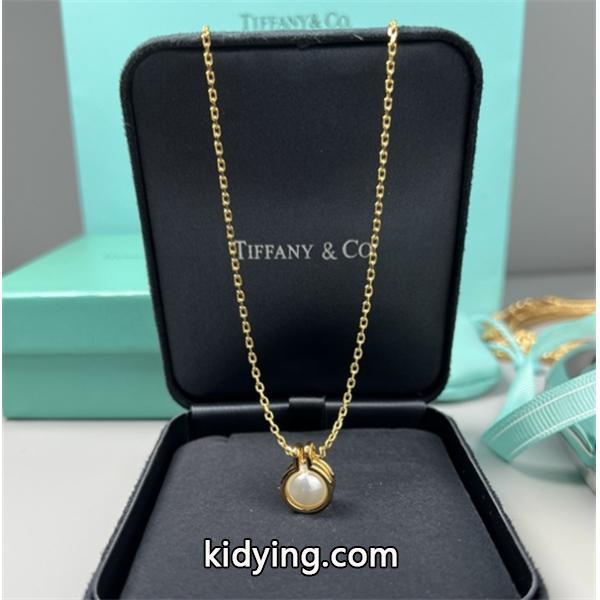 ティファニー Tiffany&Co ネックレス 春夏最新アイテム リラックスした雰囲気に_ブランド コピー 激安(日本最大級)-0