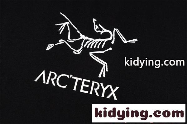 ビッグロゴ バックプリント ARCTERYX 半袖Tシャツ メンズ カジュアル ストリート アークテリクス コピー-3