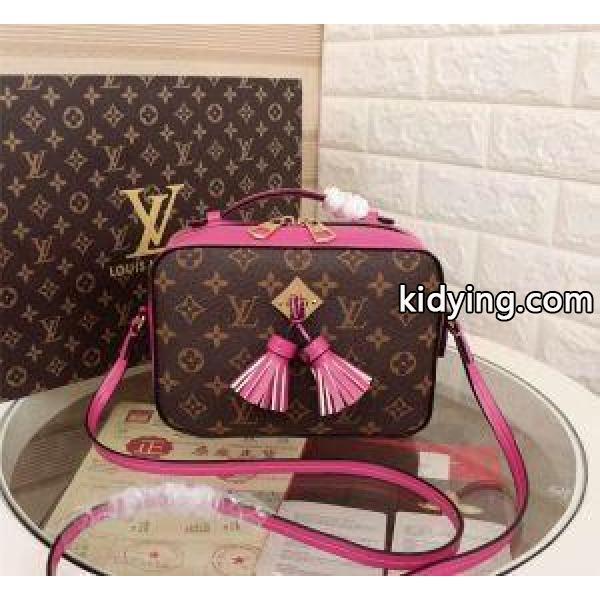 幅広い層に使える ショルダーバッグルイ ヴィトンLOUIS VUITTON 3色選択可_ルイ ヴィトン LOUIS VUITTON_ブランド コピー 激安(日本最大級)-1