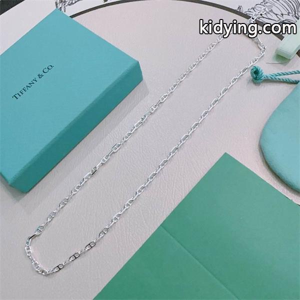 数量限定 2026新作 シンプル チェーン Tiffany&Co ティファニー コピー ネックレス-0