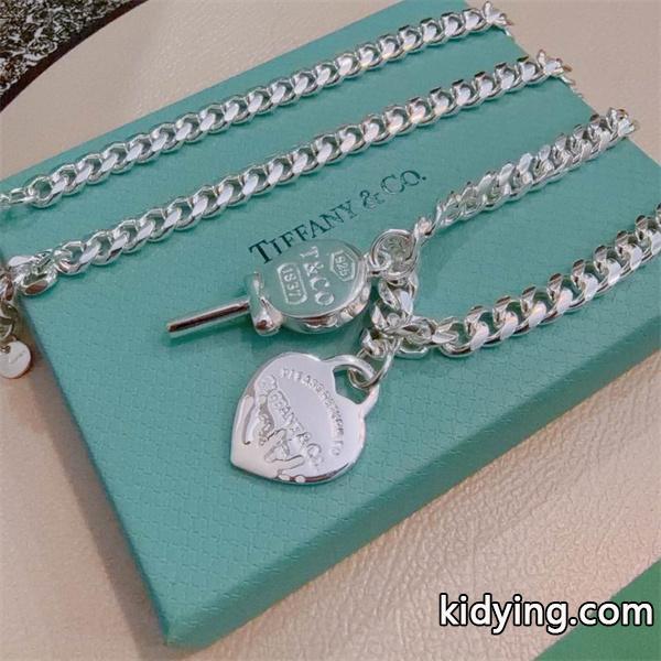Tiffany&Co ティファニー コピー 存在感チェーン アイコニック チャーム ネックレス-1