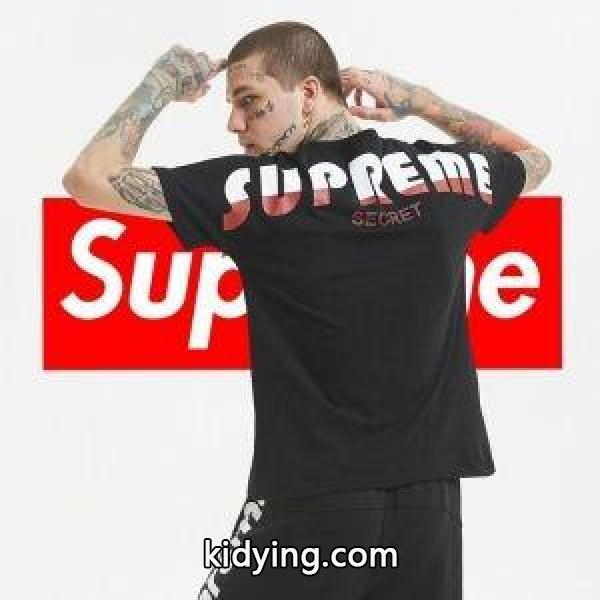 注目ブランドは2019最新 これからの季節、大活躍 シュプリーム SUPREME 半袖Tシャツ 3色可選_シュプリーム SUPREME_ブランド コピー 激安(日本最大級)-1