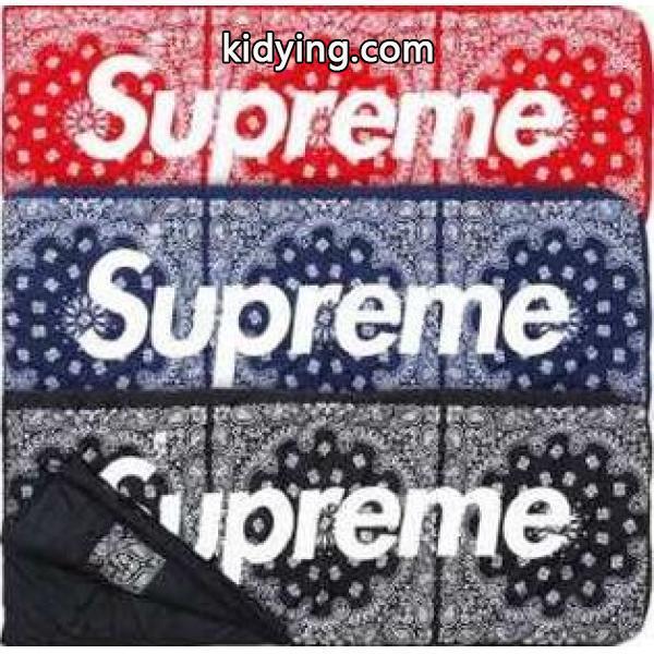 素敵な2015秋冬 AW Supreme x The NORTH FACE 大容量のあるスリーピングバッグ_寝具_雑貨小物_スーパーコピーブランド激安通販 専門店-0