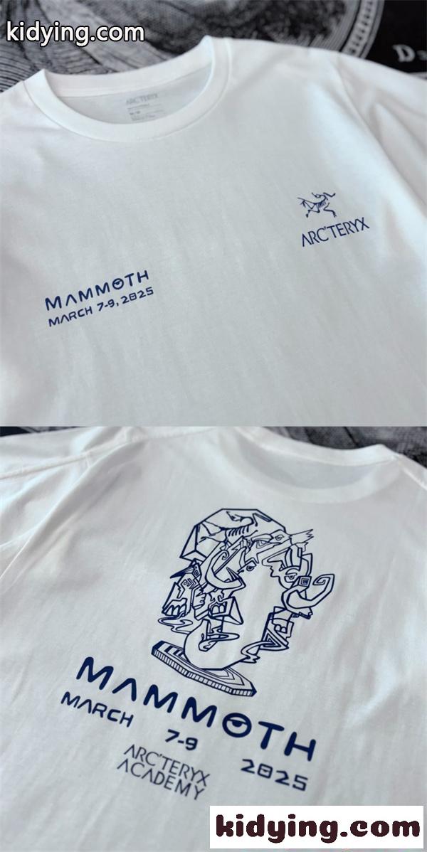 アークテリクス コピー プリント Tシャツ ARCTERYX ホワイト 半袖 シンプル カジュアル 軽やか-5