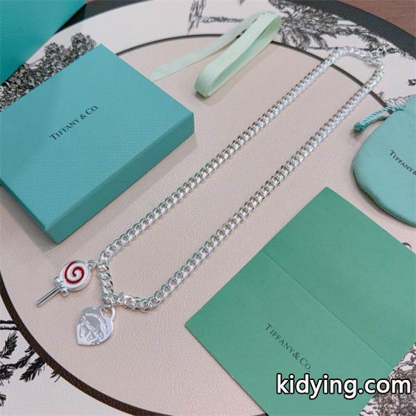 Tiffany&Co ティファニー コピー 存在感チェーン アイコニック チャーム ネックレス-5
