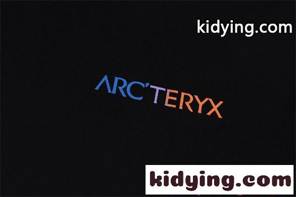 プリント 半袖Tシャツ メンズ ビッグデザイン アークテリクス コピー ストリート系 ARCTERYX 存在感抜群-4