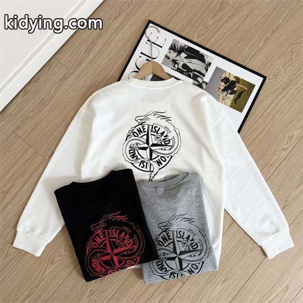 2025秋冬必須アイテム 厚手コットン 存在感アップ パーカー STONE ISLAND ストーンアイランド コピー-0
