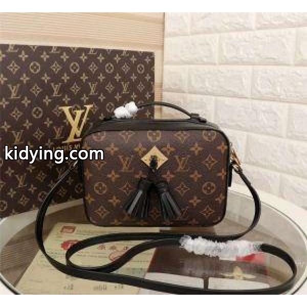 幅広い層に使える ショルダーバッグルイ ヴィトンLOUIS VUITTON 3色選択可_ルイ ヴィトン LOUIS VUITTON_ブランド コピー 激安(日本最大級)-2