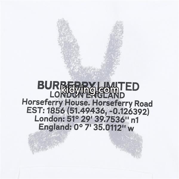 BURBERRY バーバリー コピー 話題集中 秋冬タフ ブラック パーカー プリント 評価上昇-3