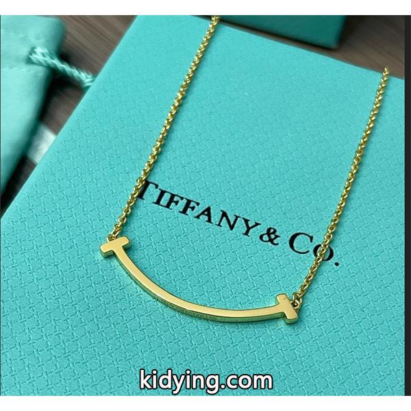 大人気新作Tiffany & Co ティファニー コピー ペンダント ファイヤーフライ シンプルで輝きある-0