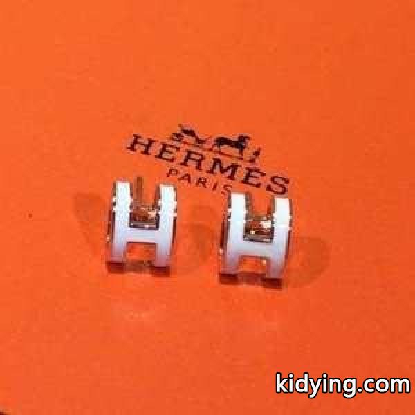 秋冬ファッションの決め手 HERMES この冬欲しいスタイルエルメス 冬の最旬コーデに仕上げる ピアス この秋の主役となった_エルメス HERMES_ブランド コピー 激安(日本最大級)-0