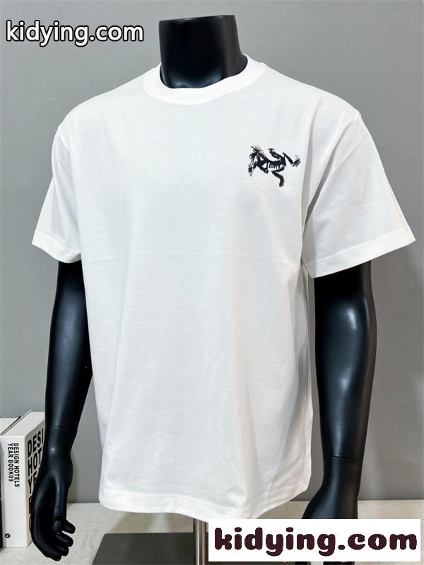 半袖Tシャツ メンズ 軽量 通気性 快適フィット ARCTERYX シンプル 高級感 アークテリクス コピー-1
