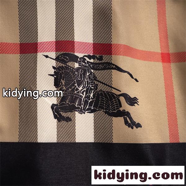 定番人気 マウンテンパーカー BURBERRY バーバリー コピー 防風仕様 格子デザイン ジャケット-4