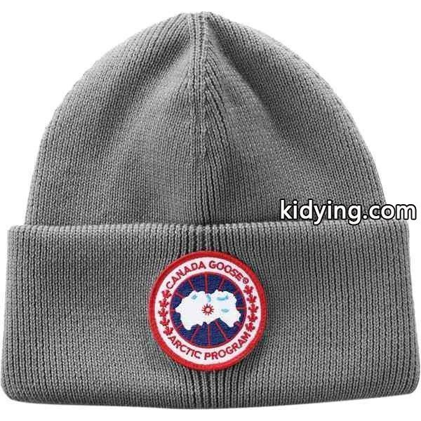 カナダグース 帽子 メンズ アクセサリー Arctic Disc Toque Heather Grey :03-vja7izgiae-2b15:海外インポートファッション asty - 通販ショッピング-0