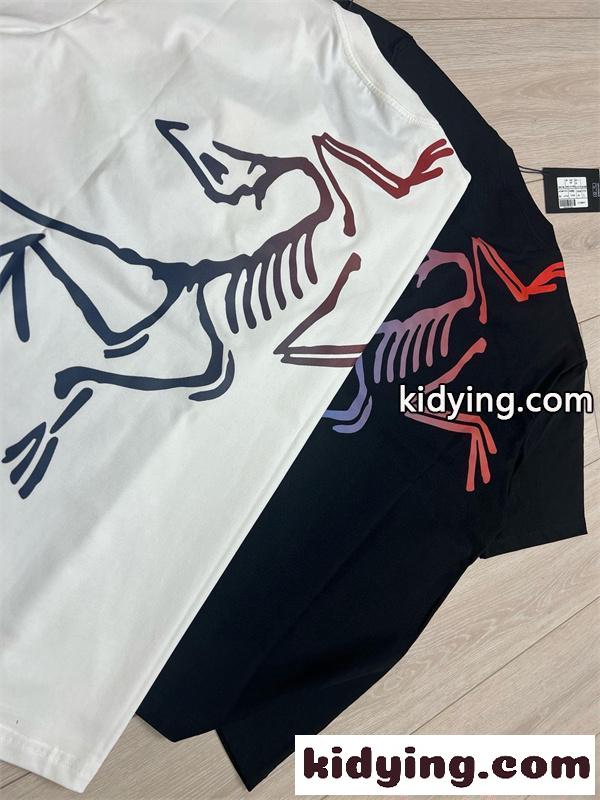 バックプリント 半袖カットソー ビッグデザイン ゆったり アークテリクス コピー 夏コーデ ARCTERYX-5