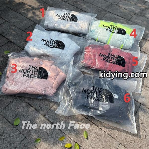 THE NORTH FACE ザノースフェイス コピー 2025秋冬人気 プレミアム ダウンジャケット 軽量保温-1