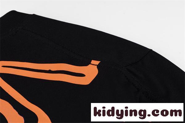 プリント 半袖Tシャツ メンズ ビッグデザイン アークテリクス コピー ストリート系 ARCTERYX 存在感抜群-5