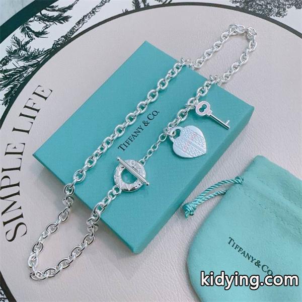 入手困難! アイコニック モチーフ チェーン ネックレス Tiffany&Co ティファニー コピー-5