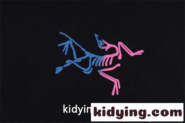 アークテリクス コピー アート風 プリント ARCTERYX 半袖Tシャツ メンズ 個性派デザイン カジュアル-5
