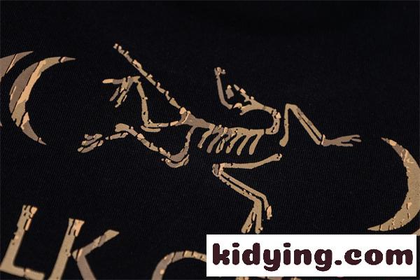 ARCTERYX プリント アークテリクス コピー Tシャツ メンズ 個性グラフィック ストリート 半袖-8