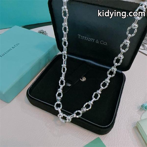 重厚感演出 クラシック チェーン Tiffany&Co ティファニー コピー ネックレス 王道デザイン-1