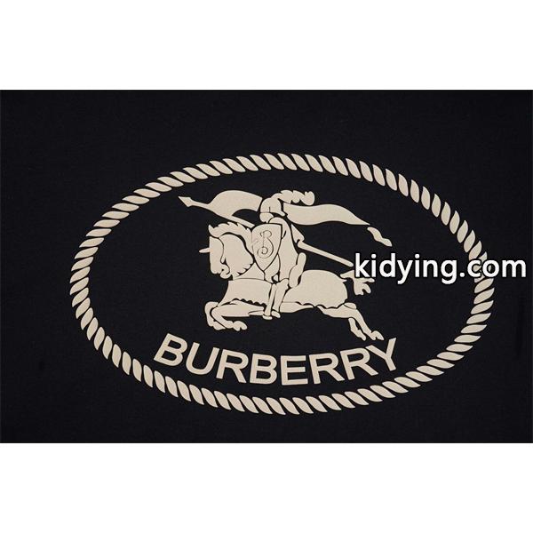 Burberry 黒色ロゴアクセント 秋冬ユニーク注目 バーバリー スーパーコピー パーカー デザイナー別注風-1