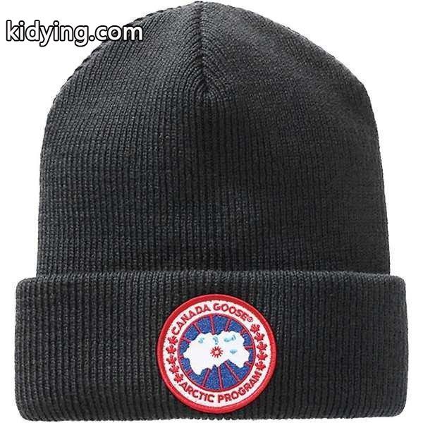 カナダグース 帽子 アクセサリー メンズ Canada Goose Mens Arctic Disc Toque Beanie Iron Grey :31-ovt0pnl0fy-5e3q:asty-shop2 - 通販ショッピング-0