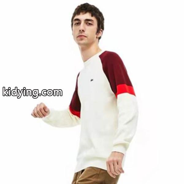 お洒落アイテムLACOSTE ラコステコピー セーター パネルデザイン 2色可選 2021秋冬新入荷高級品 通販-0