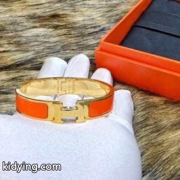 多色可選 着回し力の高いが魅力 ブレスレット 秋冬コーデを鮮やかに彩る エルメス HERMES 秋冬っぽいおしゃれを楽しめる_エルメス HERMES_ブランド コピー 激安(日本最大級)-0