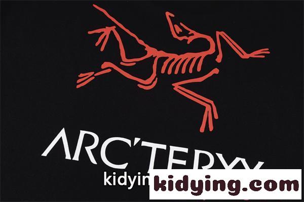 ARCTERYX ワンポイント ミニロゴ アークテリクス コピー 半袖Tシャツ メンズ シンプル 軽量素材-4