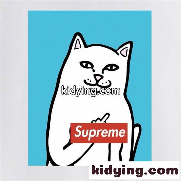 高い人気 SUPREME 2026SSのトレンド商品 夏にぴったり上品 シュプリーム tシャツコピー 激安(日本最大級)-7