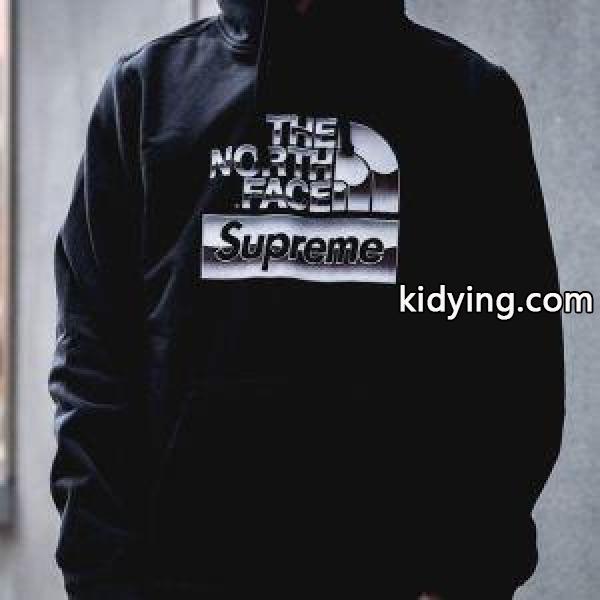 今も定番！SUPREMEシュプリーム×THE NORTH FACE 18SS Metallic Logo Hooded Sweatshirtフード付きパーカーコピーブラック、ホワイト-1