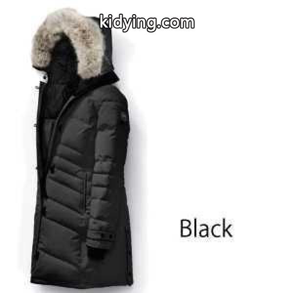 上品上質2016秋冬 カナダグース CANADA GOOSE ダウンジャケット 2色可選_カナダグース CANADA GOOSE_ブランド コピー 激安(日本最大級)-1