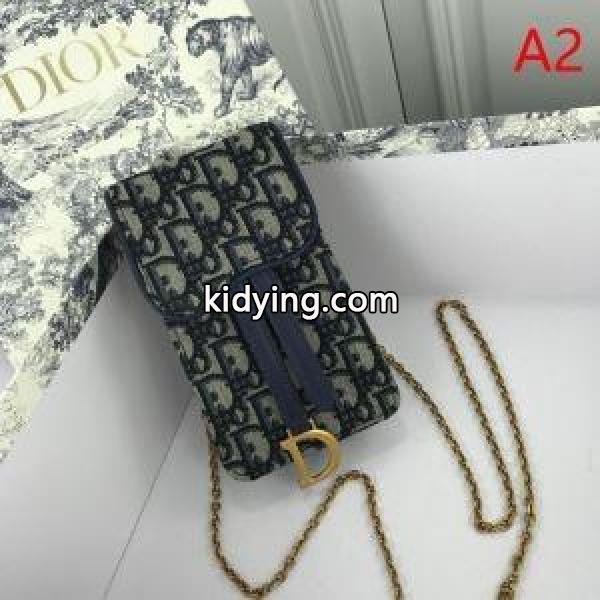 2色可選 斜め掛けバッグ ディオール DIOR 2019秋冬におすすめ着こなし 秋冬トレンド最前線_ディオール DIOR_ブランド コピー 激安(日本最大級)-1