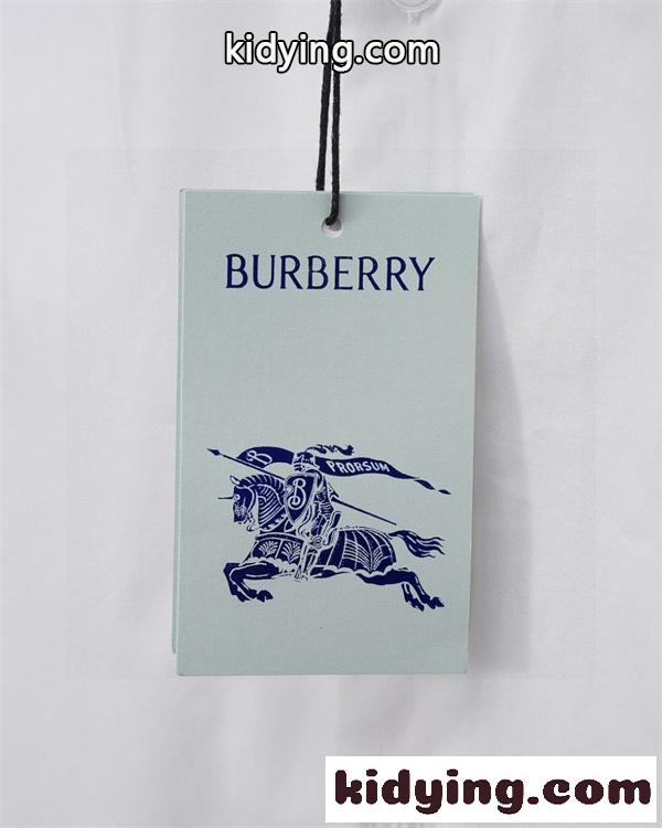 エンブレム刺繍 ベーシックデザイン タウンユース対応 注目アイテム BURBERRY バーバリー コピー 長袖シャツ-7