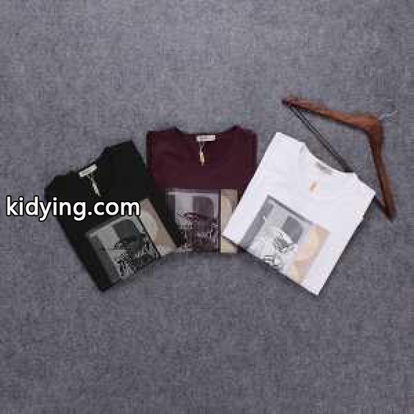 人気雑誌掲載 2016秋冬 バーバリー BURBERRY 長袖Tシャツ 3色可選_長袖Tシャツ_メンズファッション_スーパーコピーブランド激安通販 専門店-0