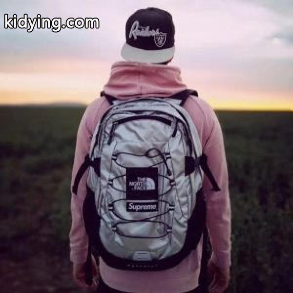 シュプリーム話題の新作到着！ Supreme18SS TNF Metallic Roo II Lumbar Packリュック、バックパック3色選択可_シュプリーム メンズバッグ_バッグ メンズ_スーパーコピーブランド激安通販 専門店-0