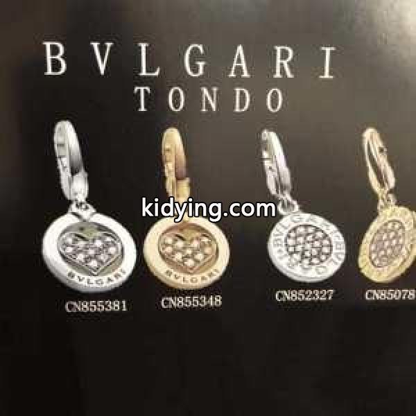 ブルガリ BVLGARI この冬にしたい素敵なスタイル ピアス 秋冬ファッションの決め手 2色可選 この冬欲しいスタイル 冬の最旬コーデに仕上げる_ブルガリ BVLGARI_ブランド コピー 激安(日本最大級)-0