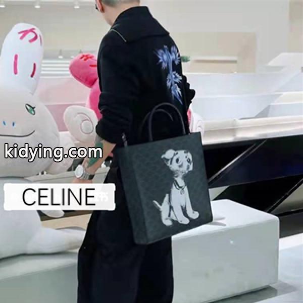 2022限定のプレミアムアイテム Celine CABAS セリーヌスーパーコピー トートバッグ スタイリッシュでカッコいい!-0