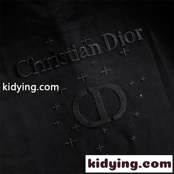 ロゴ刺繍 クルーネック ミニマルスタイル 洗練ムード DIOR ディオール コピー 半袖Tシャツ 夏ファッション-5