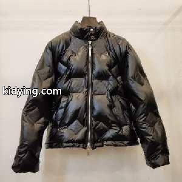この秋で旬のスタイルを楽しむ ルイ ヴィトン LOUIS VUITTON 【秋冬のコーデの強い味方 メンズ ダウンジャケット 防寒とおしゃれを両立させるコーデ_ルイ ヴィトン LOUIS VUITTON_ブランド コピー 激安(日本最大級)-0