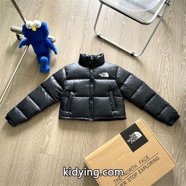 大人気限定 今シーズン注目のアイテム The North Face ザノースフェイス ダウンジャケットコピー_ブランド コピー 激安(日本最大級)-0